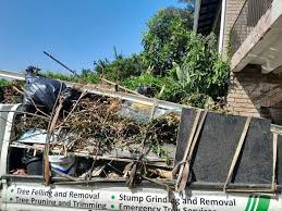 Best Construction Debris Removal  in Pine Grove, PA